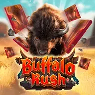 Buffalo RushAdvantplay screenshot